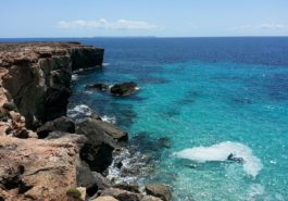 Mega Schnäppchen - für 10 EUR nach Mallorca mit Ryanair ( ab Hamburg ) 2