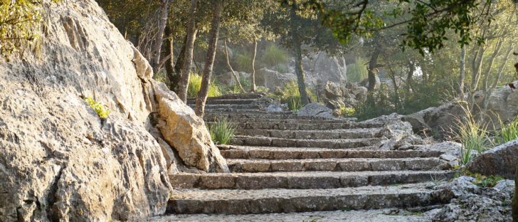 Billigflug Berlin-Mallorca im Januar 2019 für nur 4€ 20