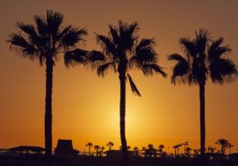 Billigflug Hamburg - Las Palmas de Gran Canaria ( 7 Tage im Januar 2019 ) für nur 💶 49€ 💶 7